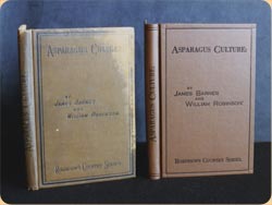 Book Crafts - Where to get your books repaired