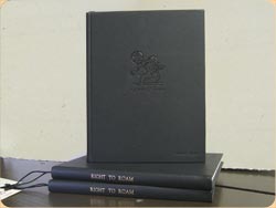 Book Crafts - Where to get your books repaired